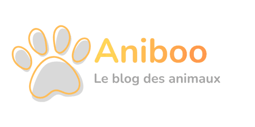 Aniboo